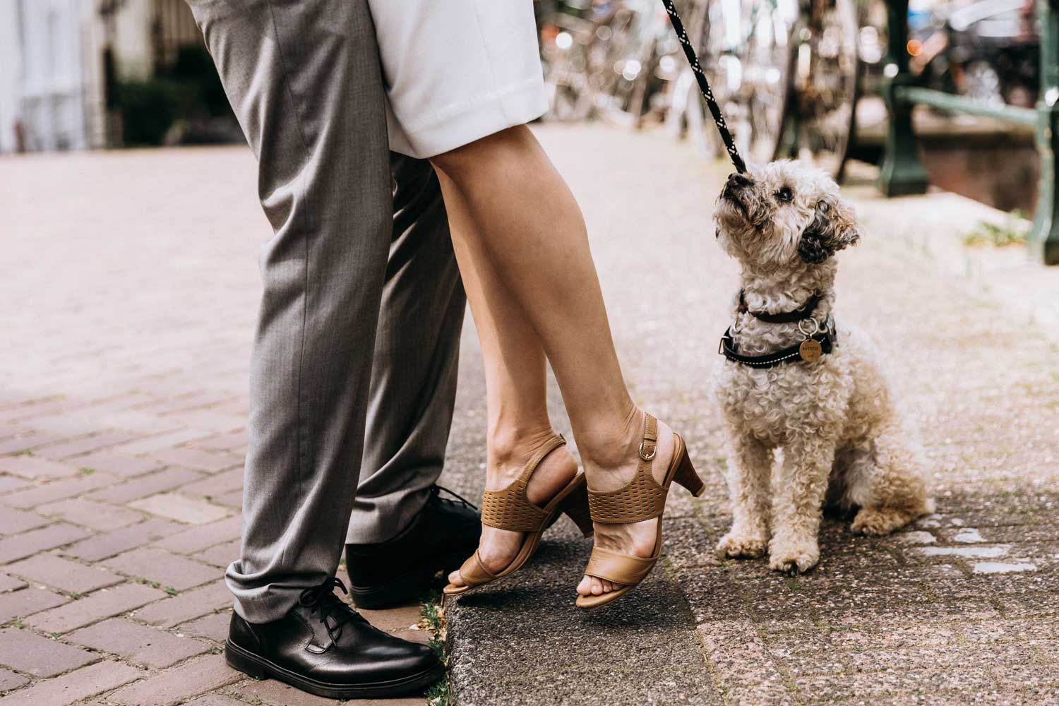 Beautiful couple with a dog walking and posing for the photographer at the wedding photoshoot with a dog in Amsterdam